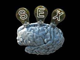 The Neuroscience of Sexual Self-Mastery